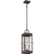 Quoizel Ward Outdoor Hanging Lantern WAR1908GZ - alternate 5